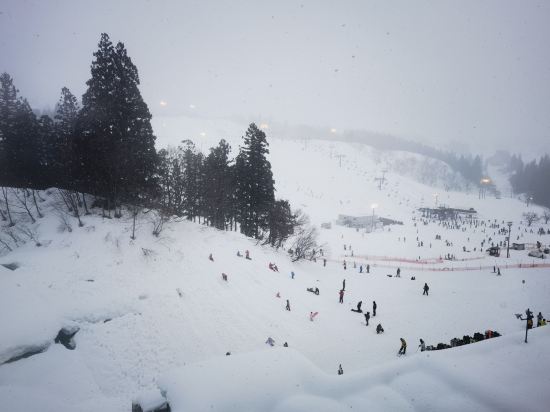 ホテルグリーンプラザ上越 クーポン