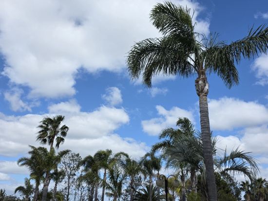 貝斯特韋斯特機場汽車旅館及會議中心優惠