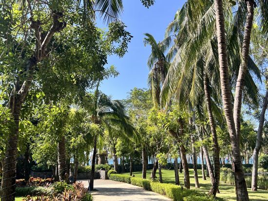 三亞灣海居鉑爾曼度假酒店優惠