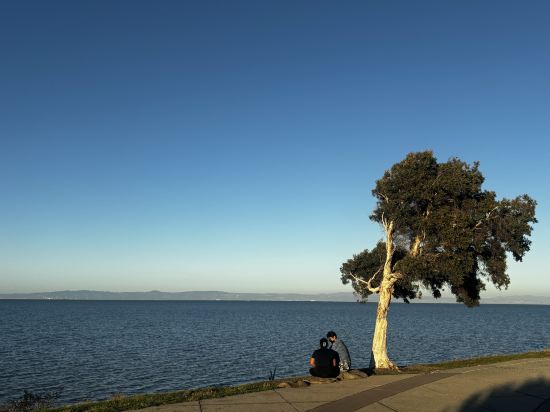 舊金山機場海灣希爾頓酒店優惠