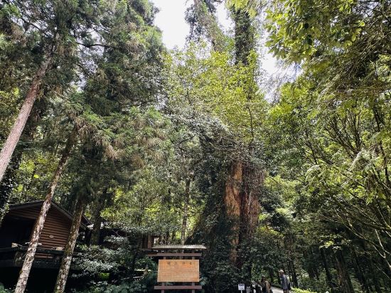 宜蘭大同明池山莊（明池森林遊樂區）優惠