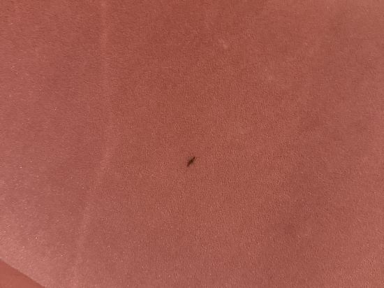 H大道飯店 - 建大聖水優惠