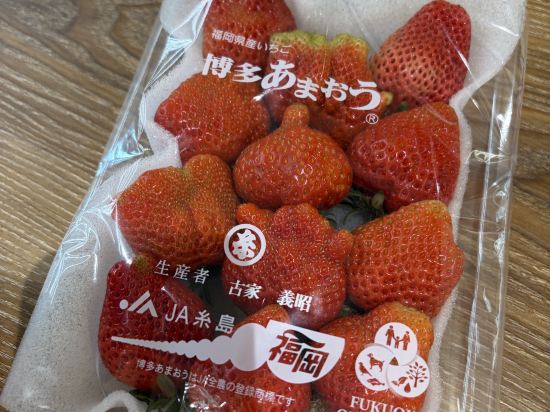 福岡中洲河邊景觀酒店優惠