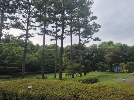 롤링 힐스 호텔 쿠폰