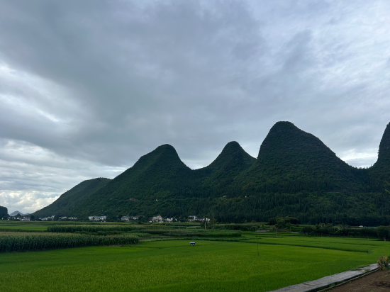 興義莫莫民宿優惠