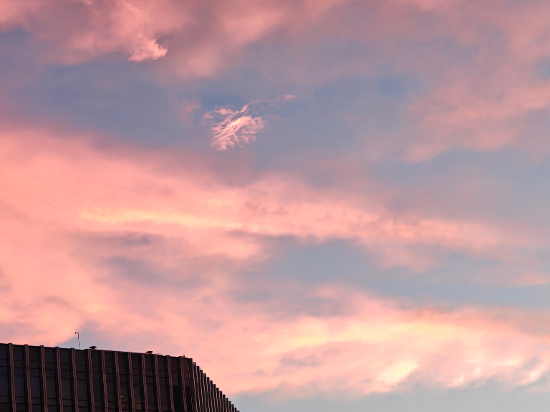 廈門天天如家酒店公寓優惠