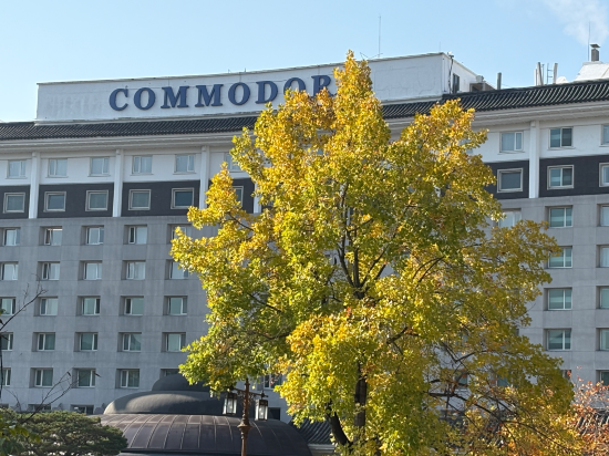 코모도호텔 경주 쿠폰