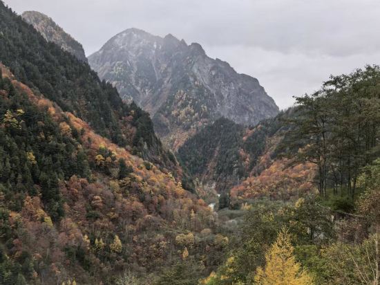 莫瑞斯晨飯店優惠