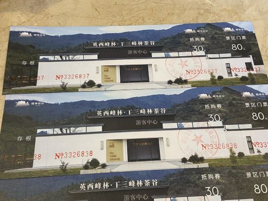 英德芸居度假酒店優惠