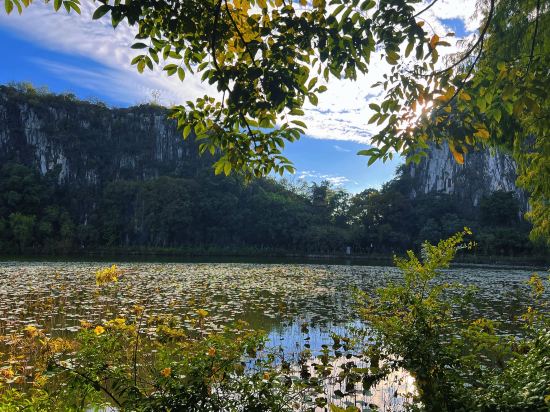肇慶喜來登酒店優惠
