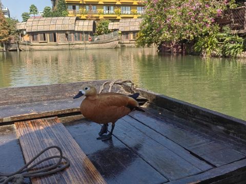 佛山順德長鹿度假村優惠