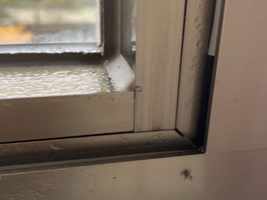 麗楓酒店（汕頭高鐵站紫雲心語店）優惠