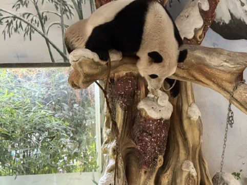 南京紫清湖温泉度假酒店優惠