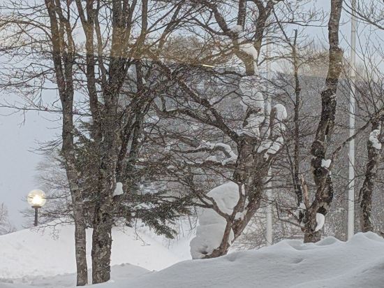 アクティブリゾーツ 裏磐梯 クーポン