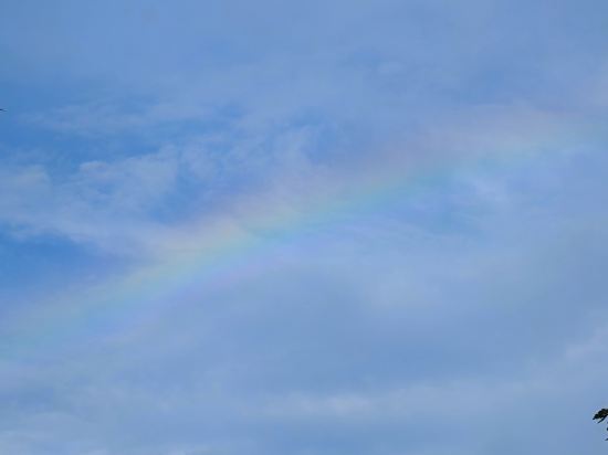 新山萬麗酒店優惠