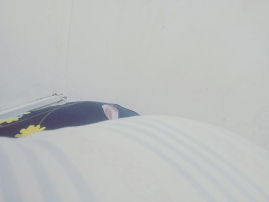 吉隆坡雙威礁湖雙迎酒店優惠