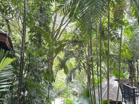 桂河雷斯特爾度假村優惠