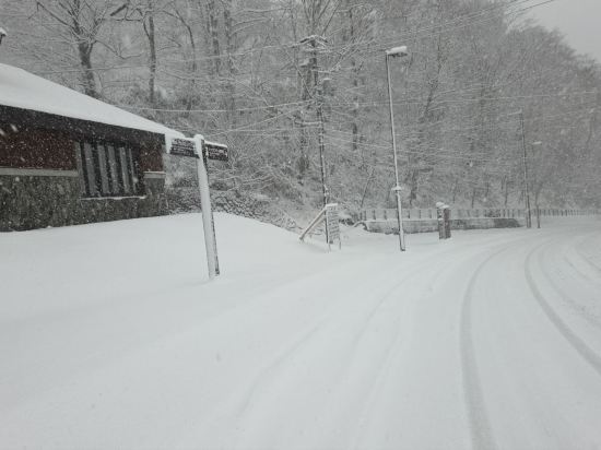 Y飯店-旭川站前優惠