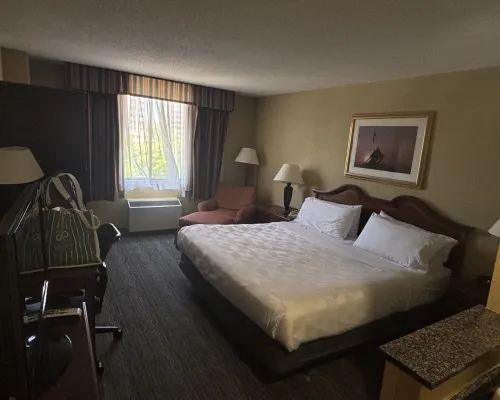 Holiday Inn ARLINGTON AT BALLSTON by IHG Kamar Photos