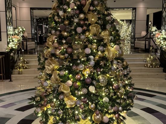 都柏林康萊德酒店優惠