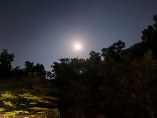 鶴山方圓福朋喜來登酒店優惠
