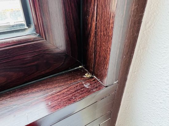 英德湞陽峽醴泉度假酒店優惠