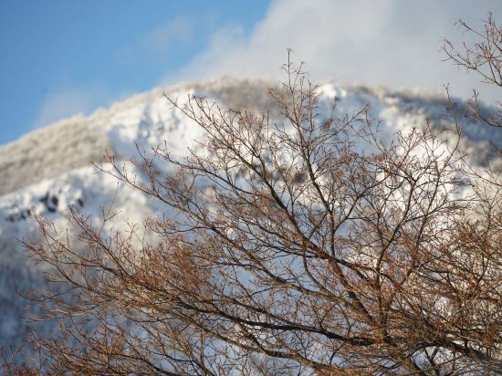 和歌（うた）の宿 わかまつや クーポン