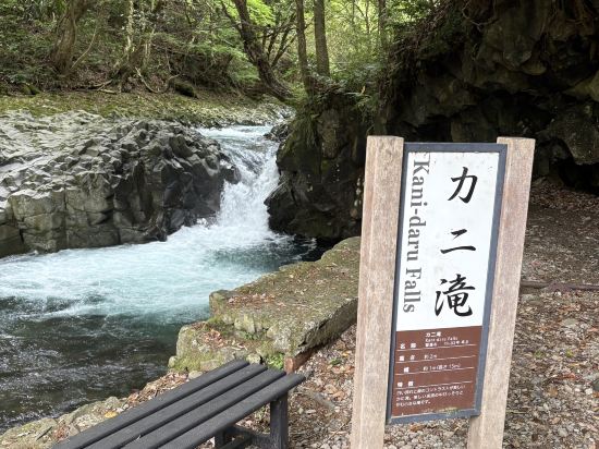 海遊亭 クーポン