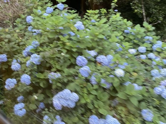 ホテルリブマックスBUDGET神戸 クーポン