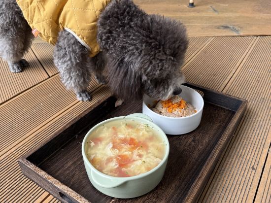 犬禾民宿（珠海斗門御溫泉店）優惠