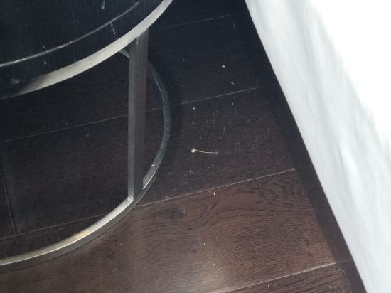 桔子水晶上海北外灘酒店優惠