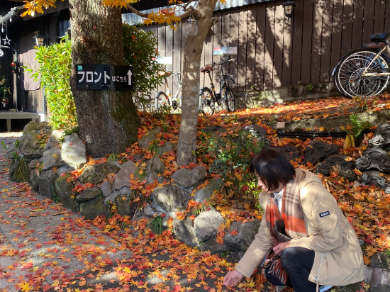 湯布院町燈之宿酒店優惠