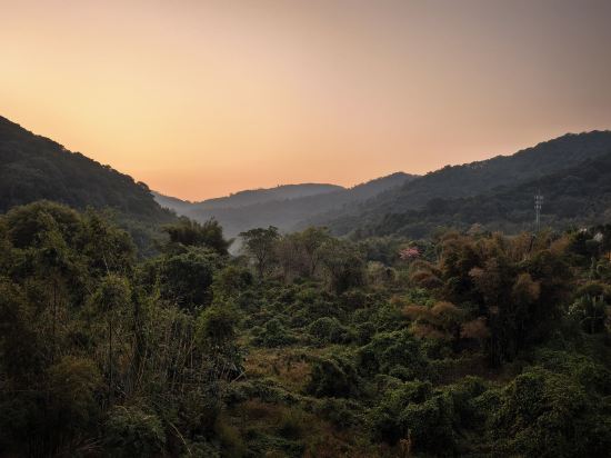 從化方圓·雲雅酒店優惠