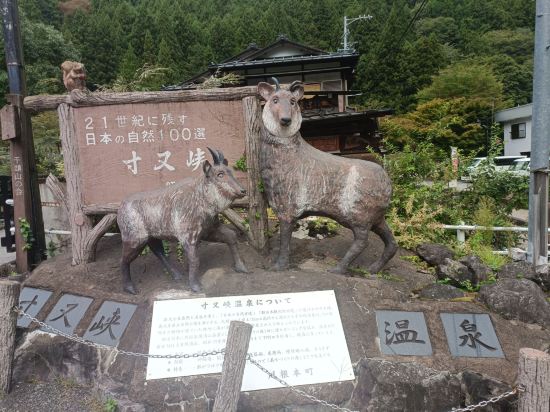 寸又峡温泉 翠紅苑 クーポン