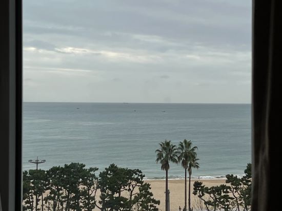 토요코인 부산해운대2 쿠폰