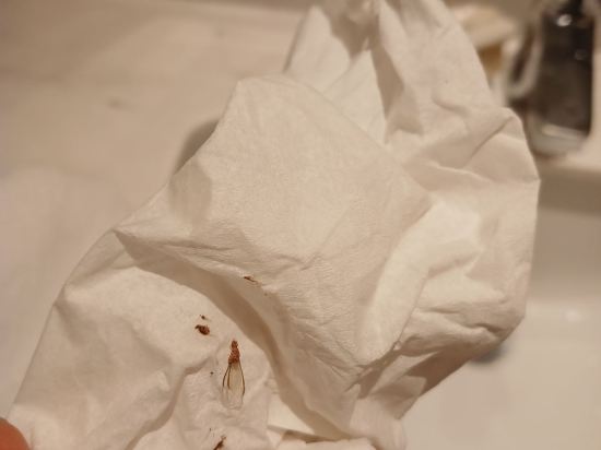 長灘島赫娜水晶沙度假飯店優惠