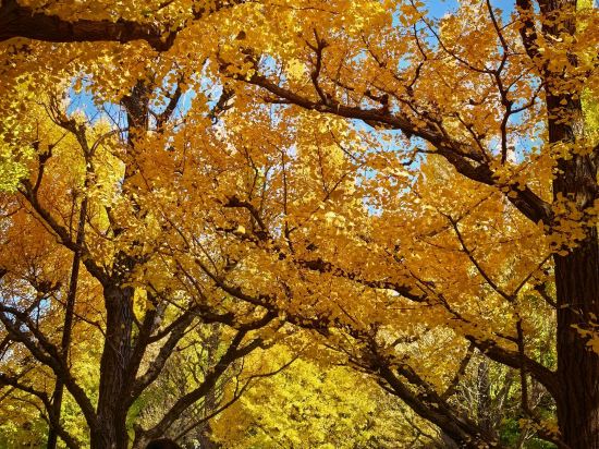 東京半藏門NEST飯店優惠