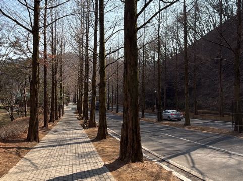 소노펠리체 비발디파크 쿠폰