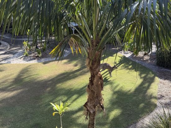 陽光海岸諾富特度假酒店優惠