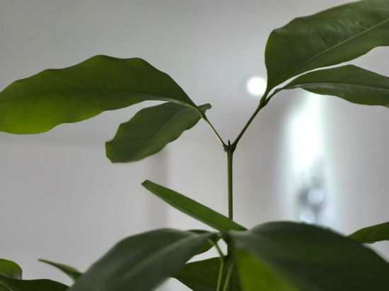 廈門悅泊飯店優惠