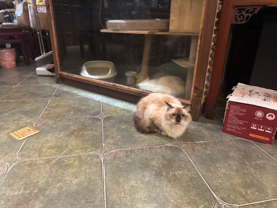 上海朱家角雅韻居客棧優惠