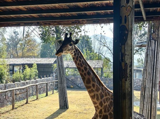 南京紫清湖温泉度假酒店優惠