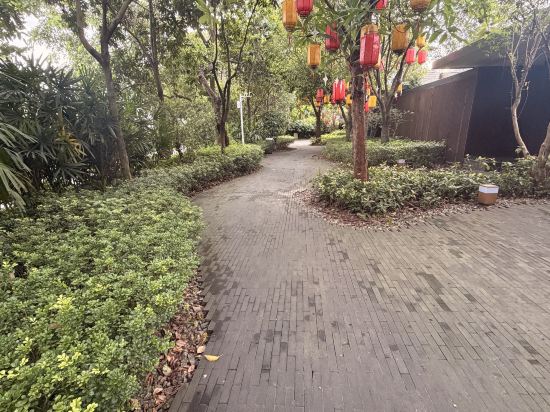 深圳藍楹灣度假酒店優惠