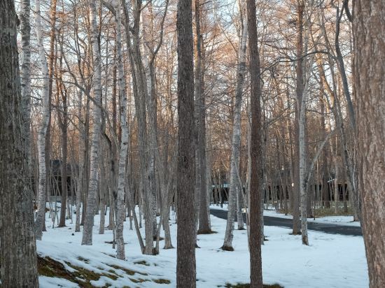 ホテル ニドム クーポン
