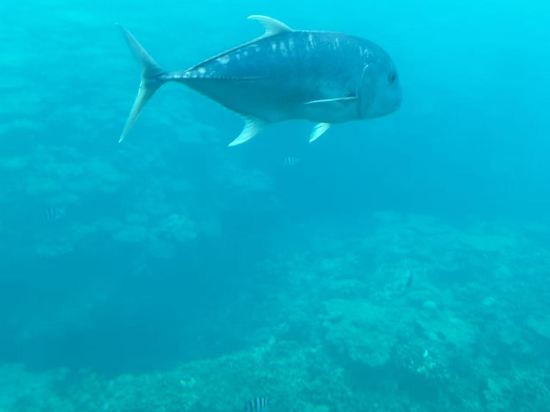 沖繩萬麗度假飯店優惠