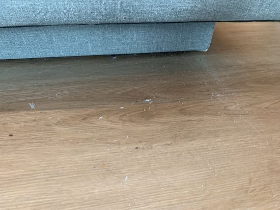 新加坡聖淘沙名勝世界邁克爾酒店（Staycation Approved）優惠