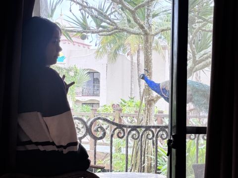 花蓮壽豐理想大地渡假飯店優惠