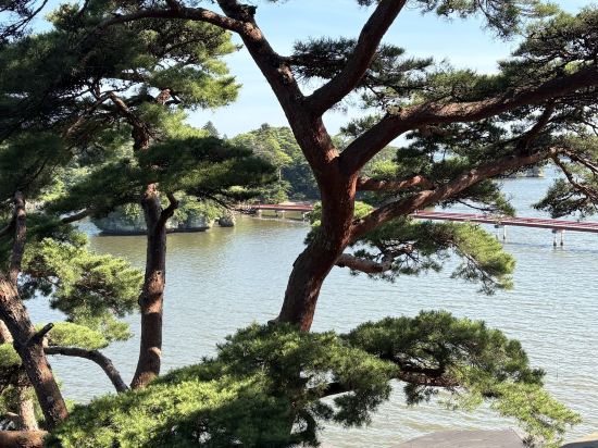 小松館 好風亭 クーポン