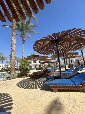 كورال هيلز ريزورت بالقرب من الفندق Photos