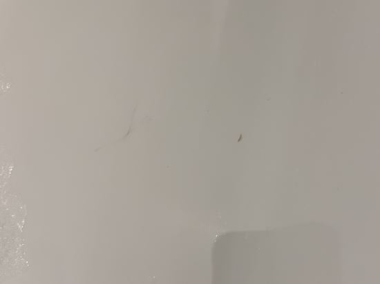 皇后鎮QT飯店優惠